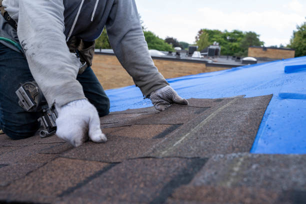 Best Chimney Flashing Repair  in Petersburg, WV