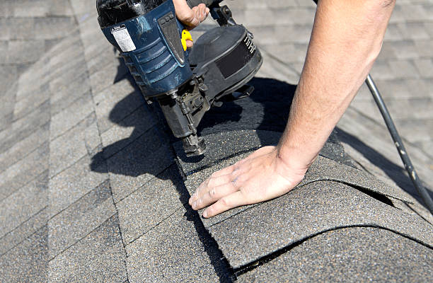 Best Roof Moss and Algae Removal  in Petersburg, WV